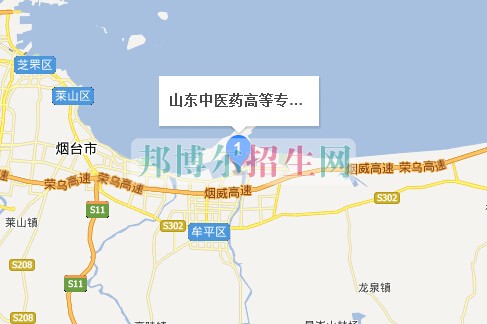 山東中醫(yī)藥高等?？茖W(xué)校