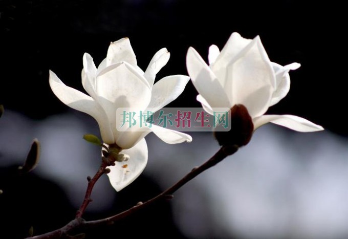 好點的財務(wù)管理學校