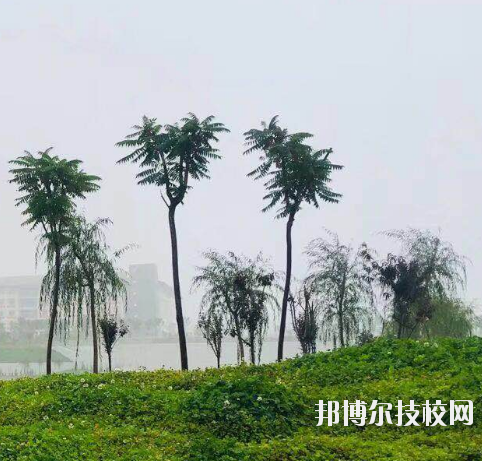 甘肅財貿(mào)職業(yè)學院2020年學費、收費多少