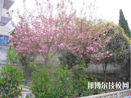 嵐皋縣中等職業(yè)技術(shù)學(xué)校2020年報名條件、招生要求、招生對象