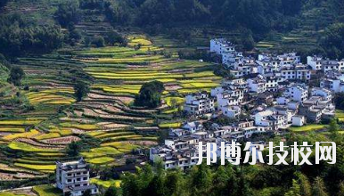 江西婺源茶葉學校2020年報名條件、招生要求、招生對象