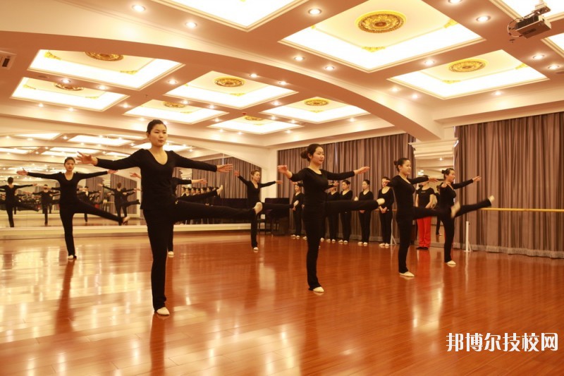 滄州職業(yè)技術(shù)學(xué)院2020年報(bào)名條件、招生要求、招生對(duì)象