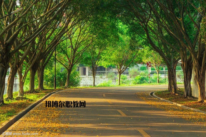仙桃金園職業(yè)高級(jí)中學(xué)2020年報(bào)名條件、招生要求、招生對(duì)象