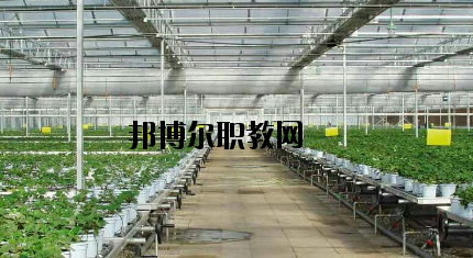 隴南農(nóng)業(yè)學(xué)校怎么樣、好不好
