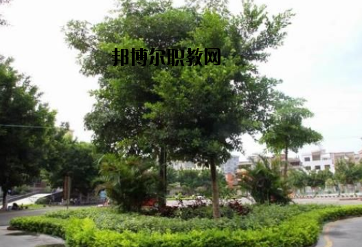 羅定中等職業(yè)技術學校怎么樣、好不好