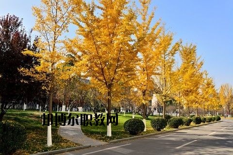 蘄春李時珍中等專業(yè)學校怎么樣、好不好