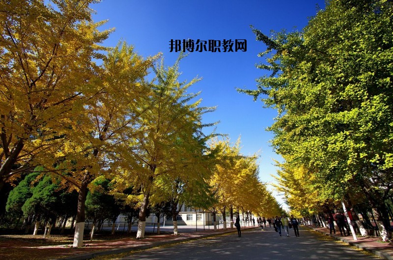 浠水理工中等專業(yè)學校怎么樣、好不好