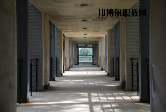 東南大學(xué)2020年報(bào)名條件、招生要求、招生對(duì)象