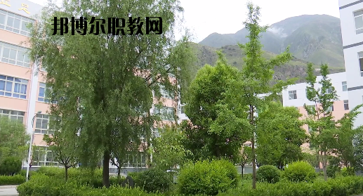 文縣職業(yè)技術(shù)學(xué)校2020年報名條件、招生要求、招生對象