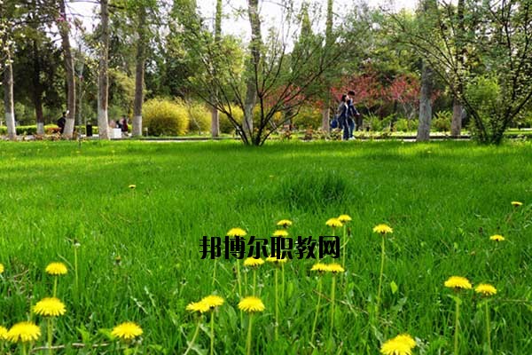 雙江縣職教中心2020年報(bào)名條件、招生要求、招生對(duì)象