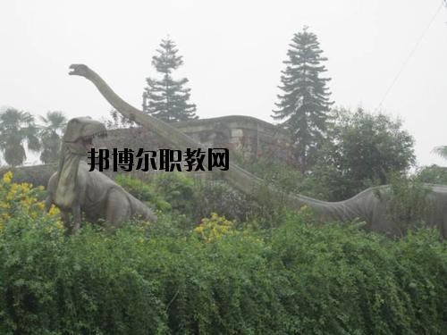 自貢三星職業(yè)技術學校2020年報名條件、招生要求、招生對象