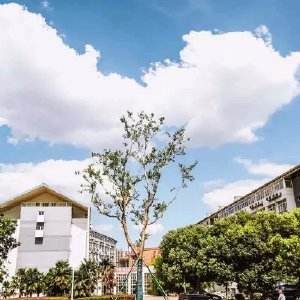 南京科技職業(yè)學(xué)院怎么樣、好不好