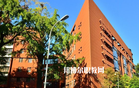 湛江湛港職業(yè)技術(shù)學(xué)校2020年報名條件、招生要求、招生對象