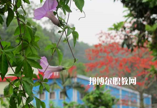 廣東省理工職業(yè)技術(shù)學校2020年招生辦聯(lián)系電話