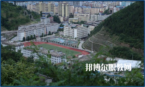 廣元朝天職業(yè)中學(xué)2020年報(bào)名條件、招生要求、招生對(duì)象