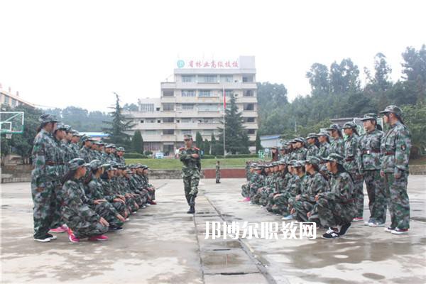 云南林業(yè)高級技工學(xué)校2021年學(xué)費、收費多少