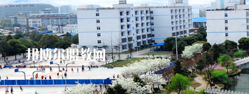 四川交通職業(yè)技術(shù)學(xué)院2022年報(bào)名條件、招生要求、招生對象