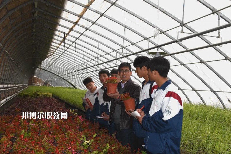 靖遠(yuǎn)職業(yè)教育中心2022年學(xué)費(fèi)、收費(fèi)多少