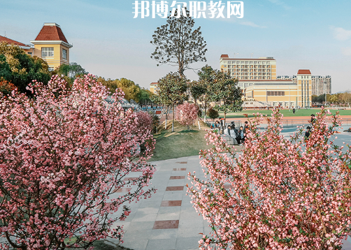 南京高等職業(yè)技術(shù)學(xué)校2022年報名條件、招生要求、招生對象