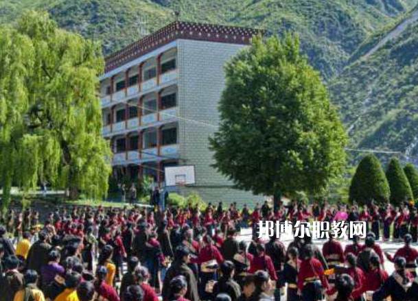 四川省藏文學(xué)校2022年報(bào)名條件、招生要求、招生對(duì)象
