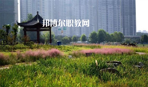 徐州生物工程職業(yè)技術學院中專部2022年報名條件、招生要求、招生對象
