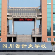 成都中醫(yī)藥大學附屬醫(yī)院針灸學校