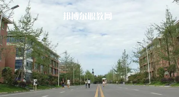 成都高職?？圃盒Ｅ琶?8強