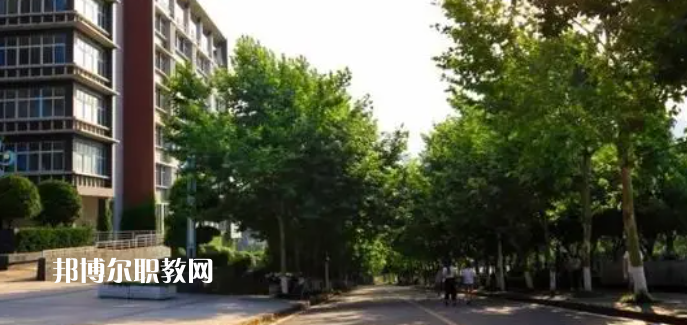 重慶醫(yī)藥高等?？茖W(xué)校好不好_2023年有單招嗎