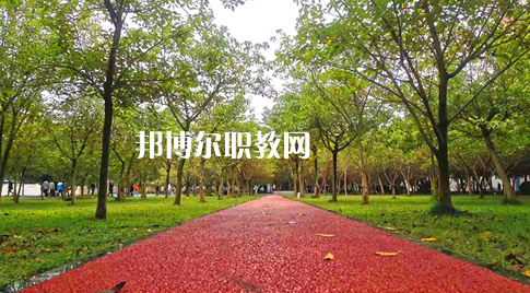 2023年四川國盛技工學校醫(yī)護救援部學費、收費多少