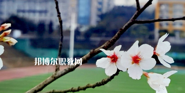 2023眉山技師學(xué)院招生計(jì)劃 招生人數(shù)是多少(附要求、條件、對象)