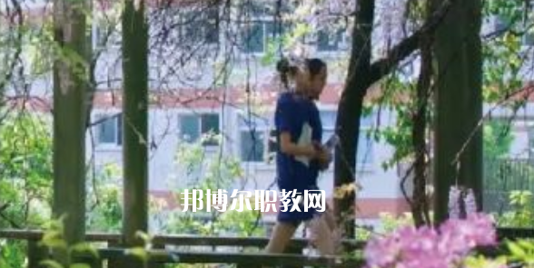 2023金華市成功學(xué)校招生計劃 招生人數(shù)是多少(附要求、條件、對象)