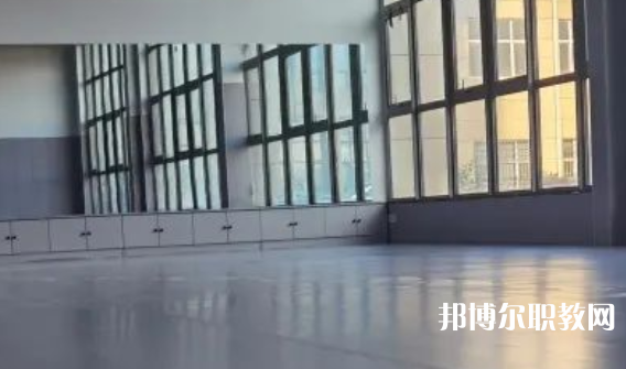 2023秦皇島市藝新舞蹈學校招生計劃 招生人數(shù)是多少(附要求、條件、對象)