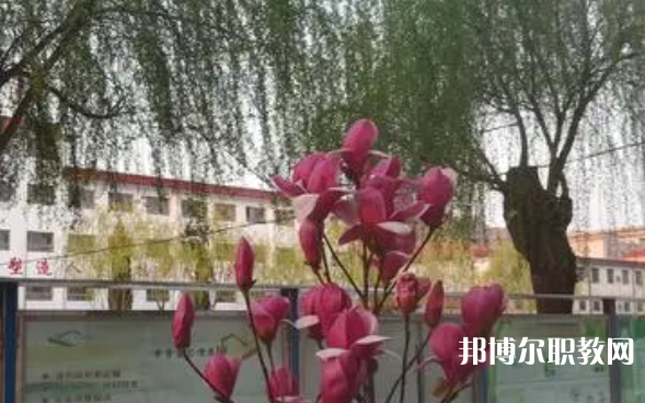 2023柏鄉(xiāng)縣職教中心招生計劃 招生人數(shù)是多少(附要求、條件、對象)