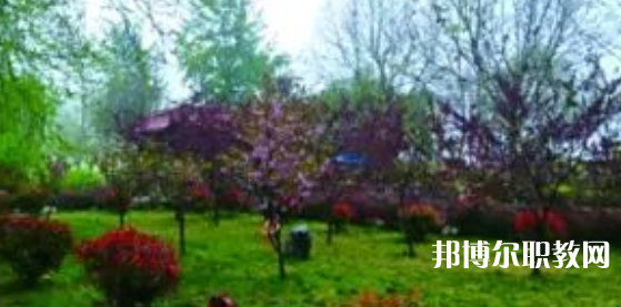 2023隆堯縣職業(yè)技術(shù)教育中心招生計(jì)劃 招生人數(shù)是多少(附要求、條件、對(duì)象)