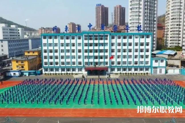 2024丹東市中醫(yī)藥學(xué)校招生計(jì)劃 招生人數(shù)是多少(附要求、條件、對(duì)象)