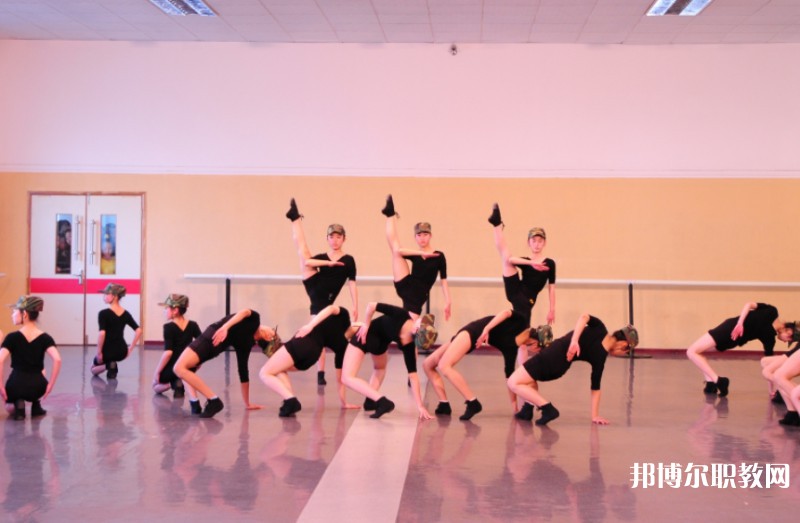 2025遼寧文化藝術學校招生計劃 招生人數(shù)是多少(附要求、條件、對象)