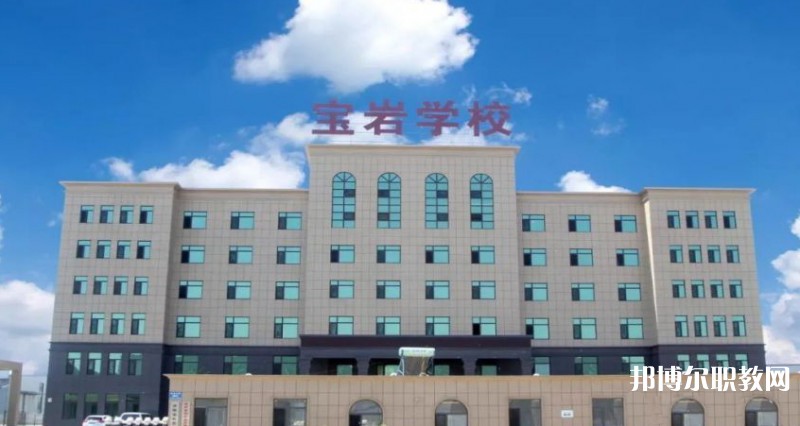 2025沈陽寶巖藝術(shù)學(xué)校招生計(jì)劃 招生人數(shù)是多少(附要求、條件、對(duì)象)